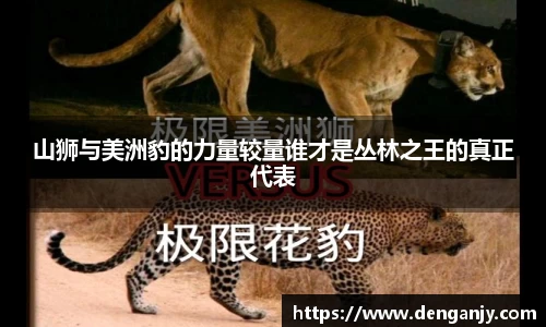 山狮与美洲豹的力量较量谁才是丛林之王的真正代表
